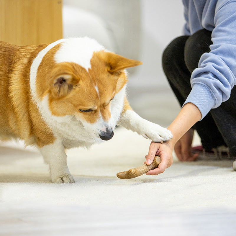 HappyPawly™ Antler-Shape Chew Toy