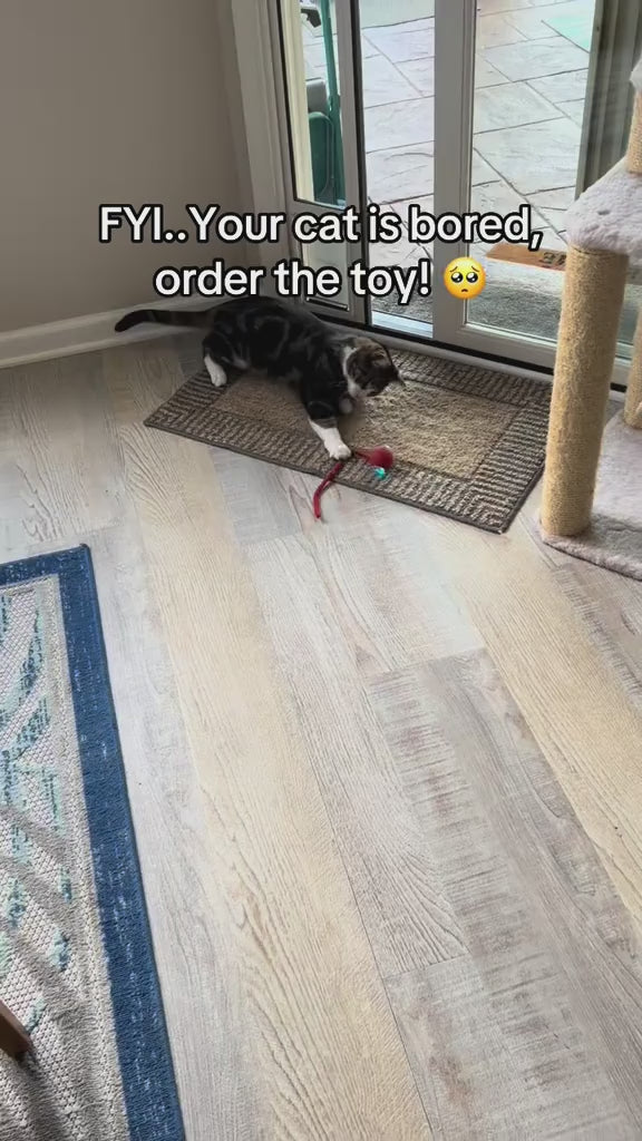 Happy Pawly™ Interactive toys for cats and dogs (for entertainment and boredom relief)