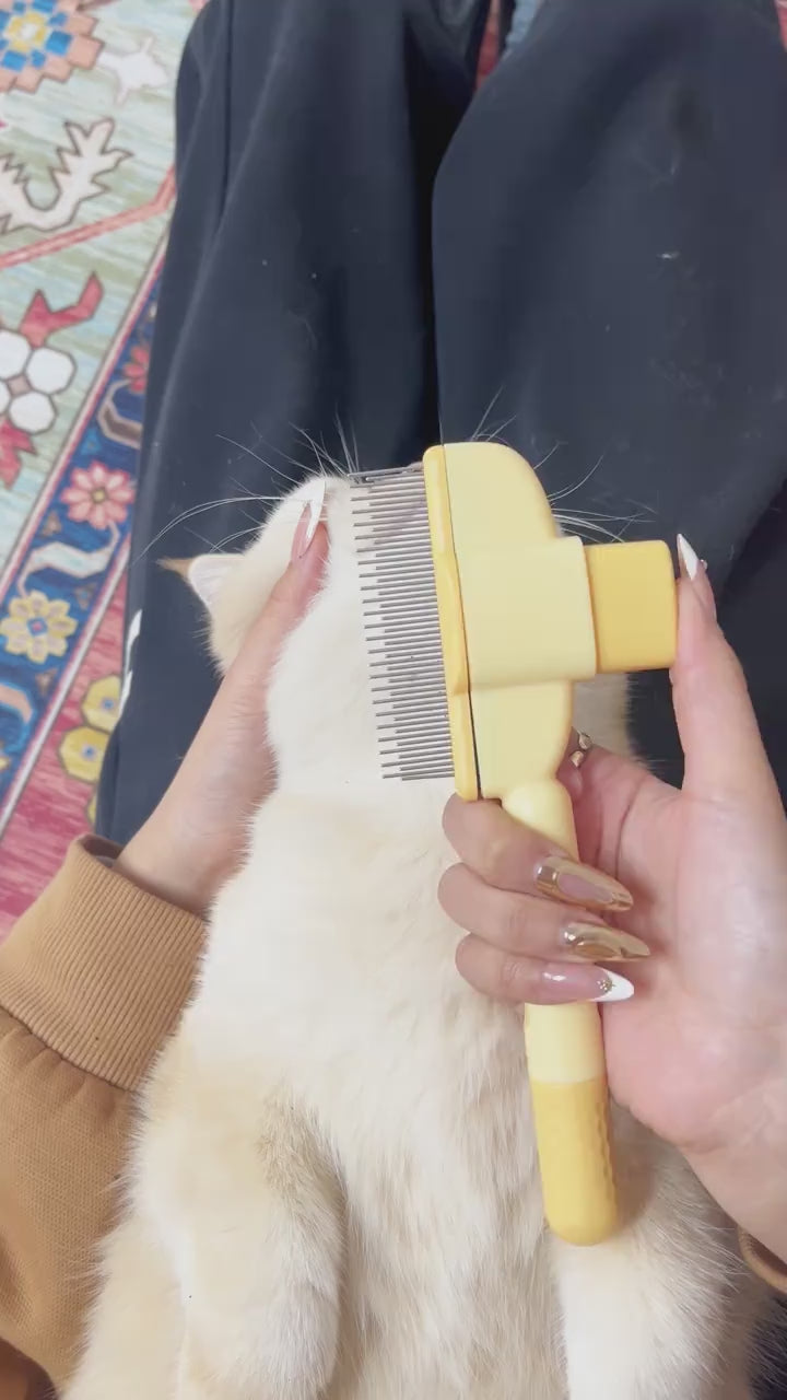 HappyPawly™ 2-pack pet hair removal comb and flea comb with release button