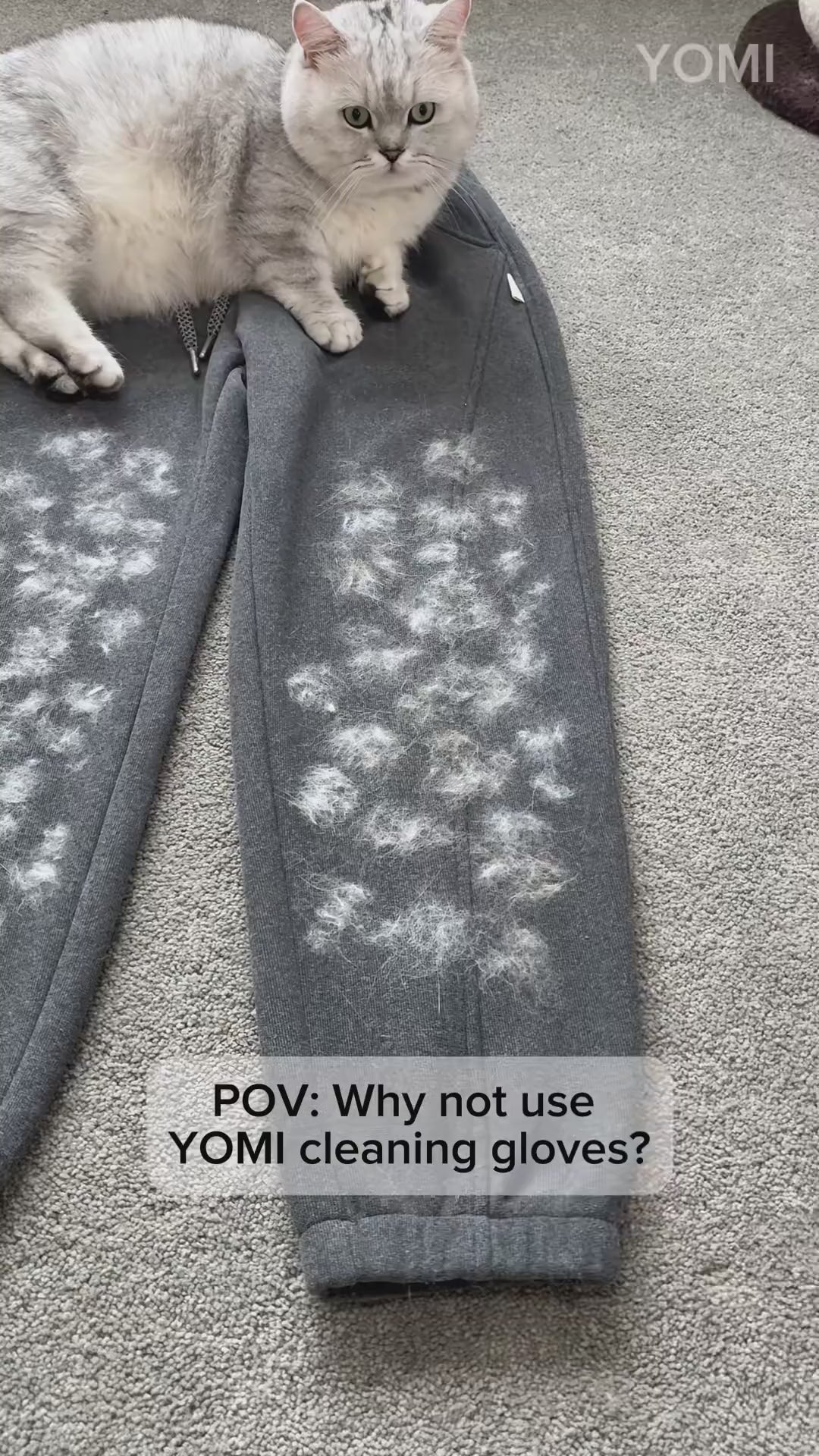 HappyPawly™ Grooming Glove